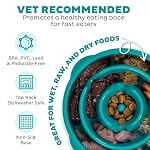 Outward Hound Fun Feeder Slo Bowl – Medium 2‑Cup Capacity, Slow Feeding, Small to Medium Dogs & Cats, Non-Slip, Turquoise, Drop Pattern - Image 3