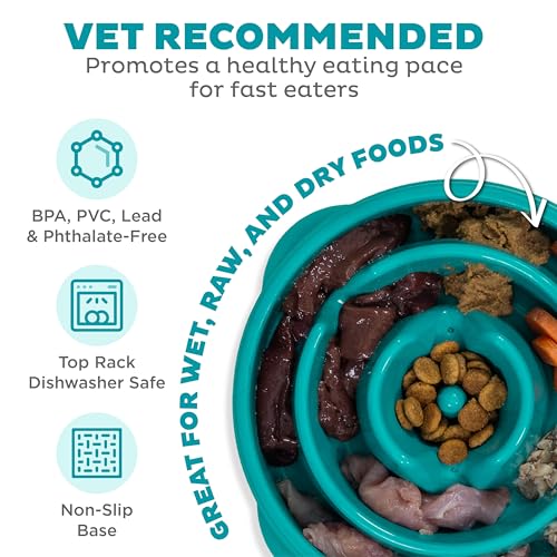 Outward Hound Medium Slow Feeder Bowl, Puzzle Maze for Fast Eaters, Small to Medium Dogs, Helps Prevent Bloat & Aid Digestion, Holds 2 Cups Wet or Dry Food, Non-Slip, Made Without BPA, Turquoise - Image 4