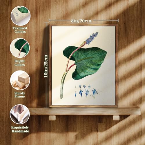 crmotu Botanical Framed Wall Art, Green Leaf Canvas Art Prints, Nature Plant Study Vintage Pictures, Minimalist Rustic Farmhouse Wall Decor, Bedroom Kitchen Desktop Bathroom Decorations, 8x10inch