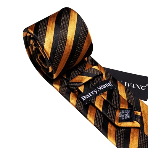 Image of Barry.Wang Silk Men Ties Formal Stripes Necktie and Tie Clip for Wedding Party Business Fashion Classic