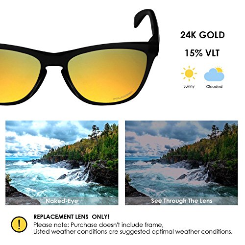 Image of BLAZERBUCK Anti-salt Polarized Replacement Lenses for Oakley Frogskins OO9013 Sunglass