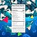 Blue Sharks Gummy Candy, Blue Raspberry Flavor (1 Pound Bag)