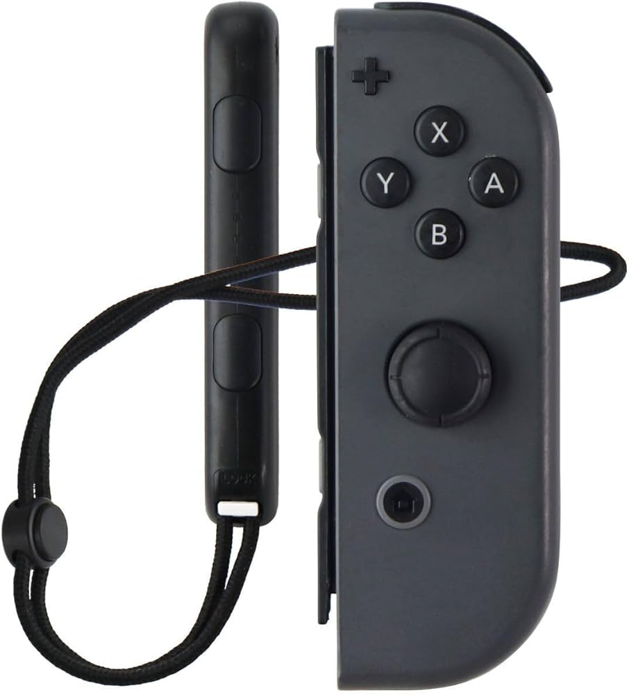 Amazon.com: Nintendo Joy-Con (R) - Gray for Nintendo Switch
