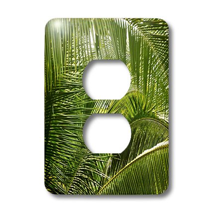 Cubierta de salida de 2 enchufes Palm Trees para tapar placas viejas con estilo 3