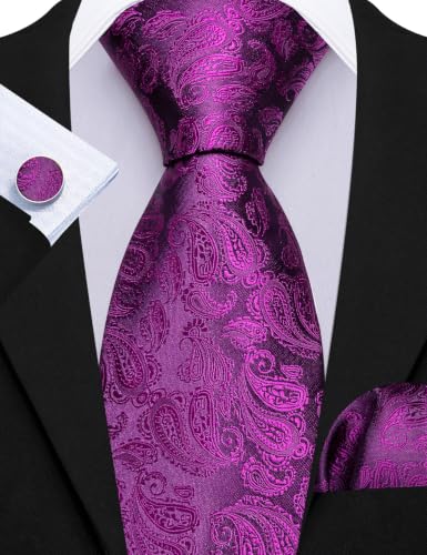 Image of Barry.Wang Men 6PCS Tie Silk Gift Necktie Clip Woven Tie Sets Party | Men Tie Classic Silk Gift Necktie With Tie Clip Jacquard Woven Neck Ties 6PCS Formal Wedding