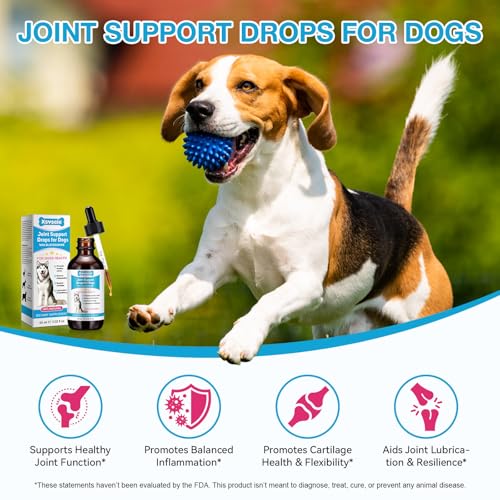 Pain Relief for Dogs, Gelenk Drops für Hunde, Dog Chondroitin Drops, Joint Aid & Relief with Glucosamine, Gelenk- & Knochenschutz für Hunde, 60ML