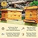Hoover Hives: The Original Beeswax Coated Beehive Kit. Includes 2 Deep & 1 Medium Boxes with 10 Wooden Frames & Heavy Wax Coated Foundations. Easy Assembly with Predrilled Holes& Screws (Unassembled)