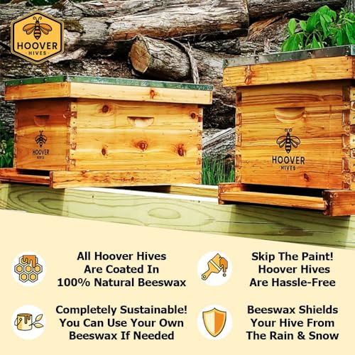 Hoover Hives: The Original Beeswax Coated Beehive Kit. Includes 2 Deep & 1 Medium Boxes with 10 Wooden Frames & Heavy Wax Coated Foundations. Easy Assembly with Predrilled Holes& Screws (Unassembled)