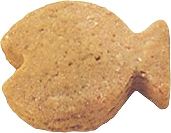 Amazon|貝印 KAI クッキー型 シルバー 3×2.2×1.8cm Kai House Select Amazon|貝印 KAI クッキー型 シルバー 3×2.2×1.8cm Kai House Select