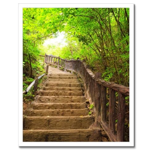 Poster Escalier à la forêt cadre noir pour rompre la routine