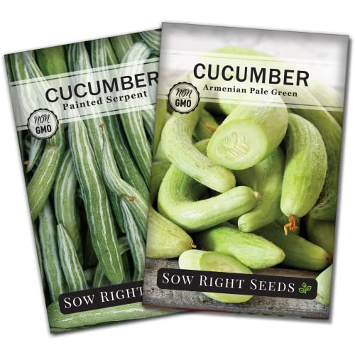 Sow Right Seeds - Armenian Yard Long Cucumber Seed Collection for Planting - Armenian Pale Green and Painted Serpent - Non-GMO Heirloom Packets with Instructions to Plant and Grow a Vegetable Garden