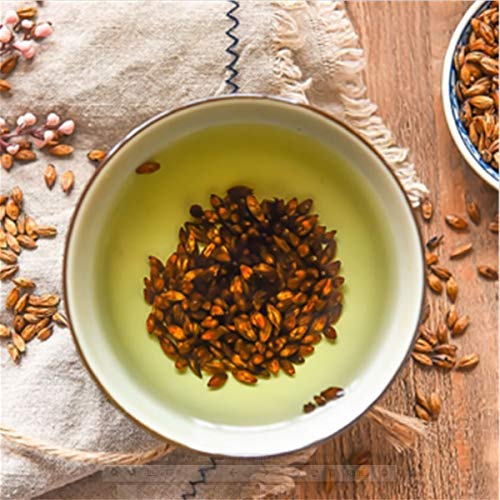 Té de hierbas chino té de cebada tostada té de cebada tostado refrescante té nuevo de fragancia té verde té saludable… - Imagen 8