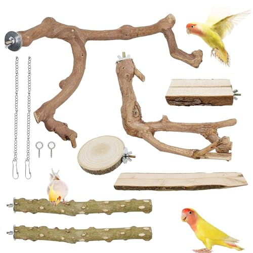 Image of Woohome Natural Wooden Perch Bird Stand Parrot Perch Stand, Natural Wood Platform Bird Climbing Standing Branches Toy for Small Lovebirds Budgies Cockatiels