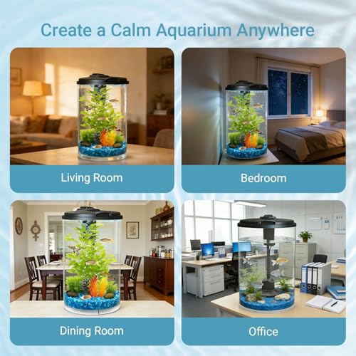 Image of Koller Products 3-Gallon 360 Aquarium with LED Lighting (7 Color Selections) and Power Filter, Impact-Resistant Plastic, Ideal for a Variety of Tropical Fish