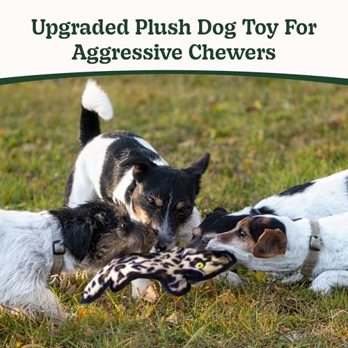 Image of SHARLOVY No Stuffing Dog Toys Crinkle Squeaky, Long Lasting Chews for Aggressive, Durable Plush Dog Puppy Chew Toys for Teething, with 6 Tough Layers for Small Medium Large Breed-3 Pack,Small