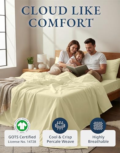 Image of LANE LINEN 100% Organic Cotton Twin Bed Sheet Set, Soft, Comfy & Breathable Hotel Style Percale Bedding Sheets & Pillowcases Set, Mercerized Cotton Fully Elasticized Sheets Twin- Vanilla