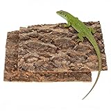 Zerodeko 2 PCS Natürliche Korkrinde für Terrarium|30*20cm|Authentische...