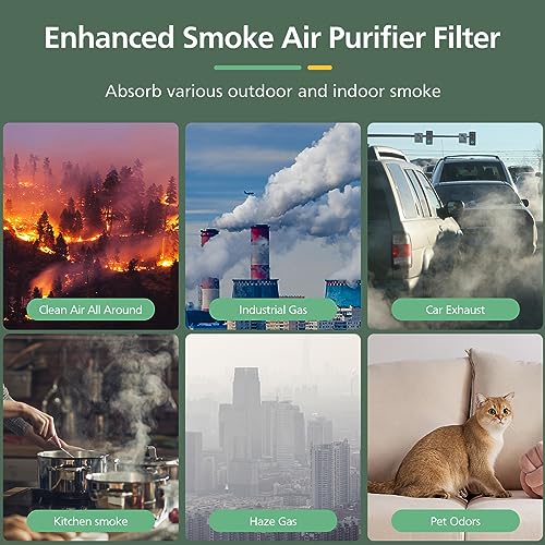 isinlive Core 300 Smoke Remover Replacement Filter for LEVOIT Core 300 Core300-P Core 300S Core 300S/P VortexAir Air Purifier, Core 300-RF, 4-in-1 HEPA Activated Carbon, 2 Pack, Blue, Core 300-P