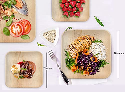 Staglife Piatti da tavola monouso, 17,8 cm