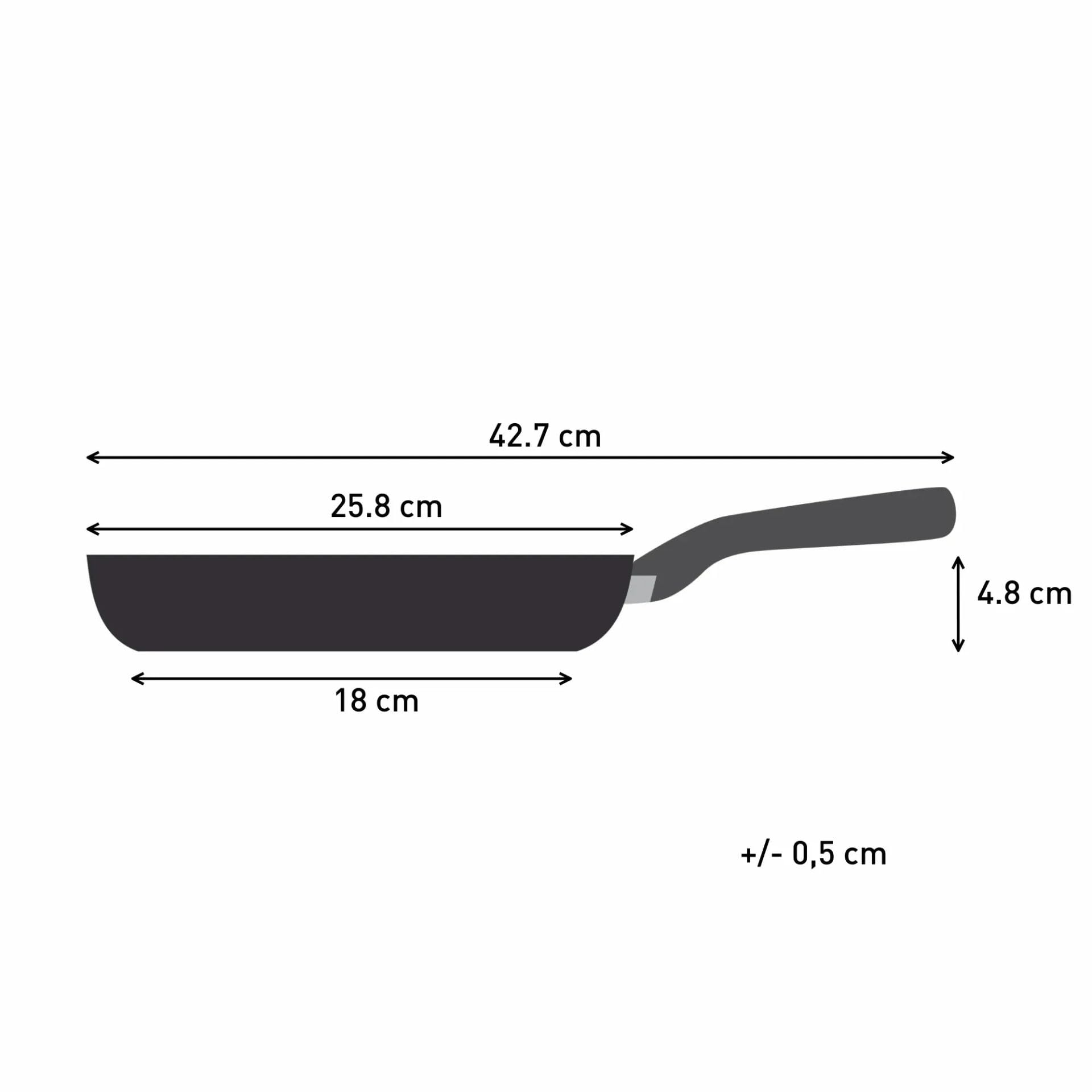 Poêle 24cm Perfect Touch Tefal - Tous feux + induction - G3020432
