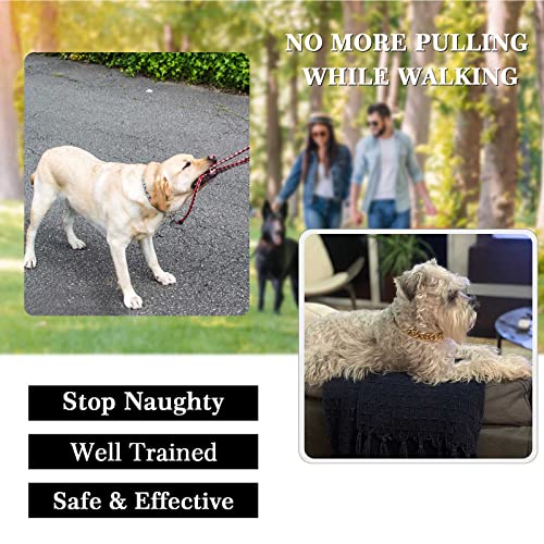 Stainless Steel Dog Chain Cuban Collar Gold Color Metal Dog Chain Collar Cuban Link Dog Collar For Small Medium Large Dogs Cats Pet Collars 15Mm Strong Dog Necklace Collars #TOP2