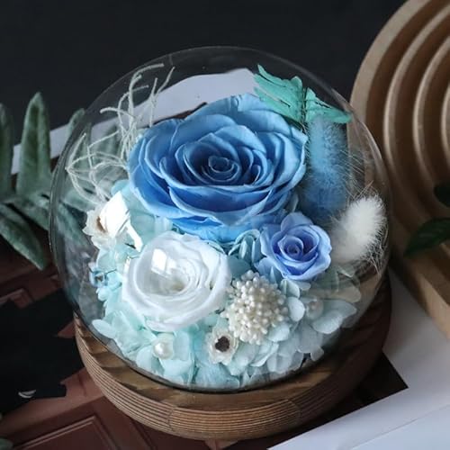 Rose in Glass Dome, Long-Lasting Real Flowers, with LED Light, Unique for Mother's Day & Christmas & Valentine's Day, Preserved Flowers Rose Gifts for Wife Girlfriend Mom (Blue)