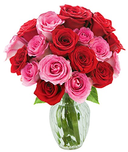 KaBloom-18 Red&amp;Pink Rose Bouquet, Flowers for Valentine, Mother's Day