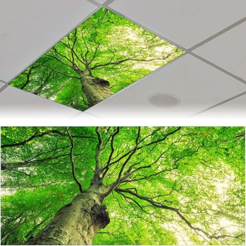 Image of Fluorescent Light Cover for Classroom - 2 Pcs Spring Trees Magnetic Fluorescent Light Covers, Ceiling Light Covers Shade Panel Coverings for Office Classroom Home Drop Ceiling, 4 x 2 Feet