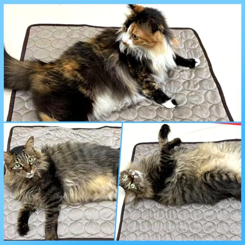fuzhik Kühlmatte für Hunde und Katze 61 x 51CM, Haustier Kühlmatte Waschbares Matte Sommer Kühlkissen Katzen Selbstkühlende, Selbst Kühlende Hundematte für Zuhause Unterwegs oder im Auto