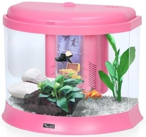 pink aquarium fish