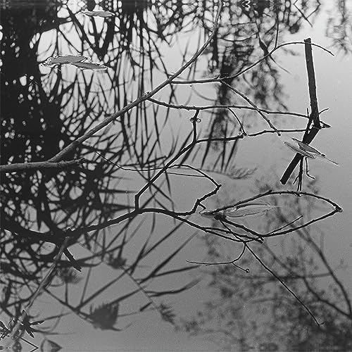 Antony And The Johnsons & ANOHNI