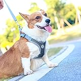 Coolzon Hundegeschirr mit 4 Verstellbaren Schnallen, Atmungsaktives Netz-Anti-Zug-Geschirr mit Reflektierendem Streifen für Kleine und Mittlere Welpen (S)