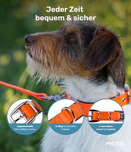 PetTec Halsband für große & kleine Hunde aus Trioflex™ | wetterfest & verstellbar in Farbe | Hundehalsband in Rot, Braun, Schwarz & Leuchtend Orange