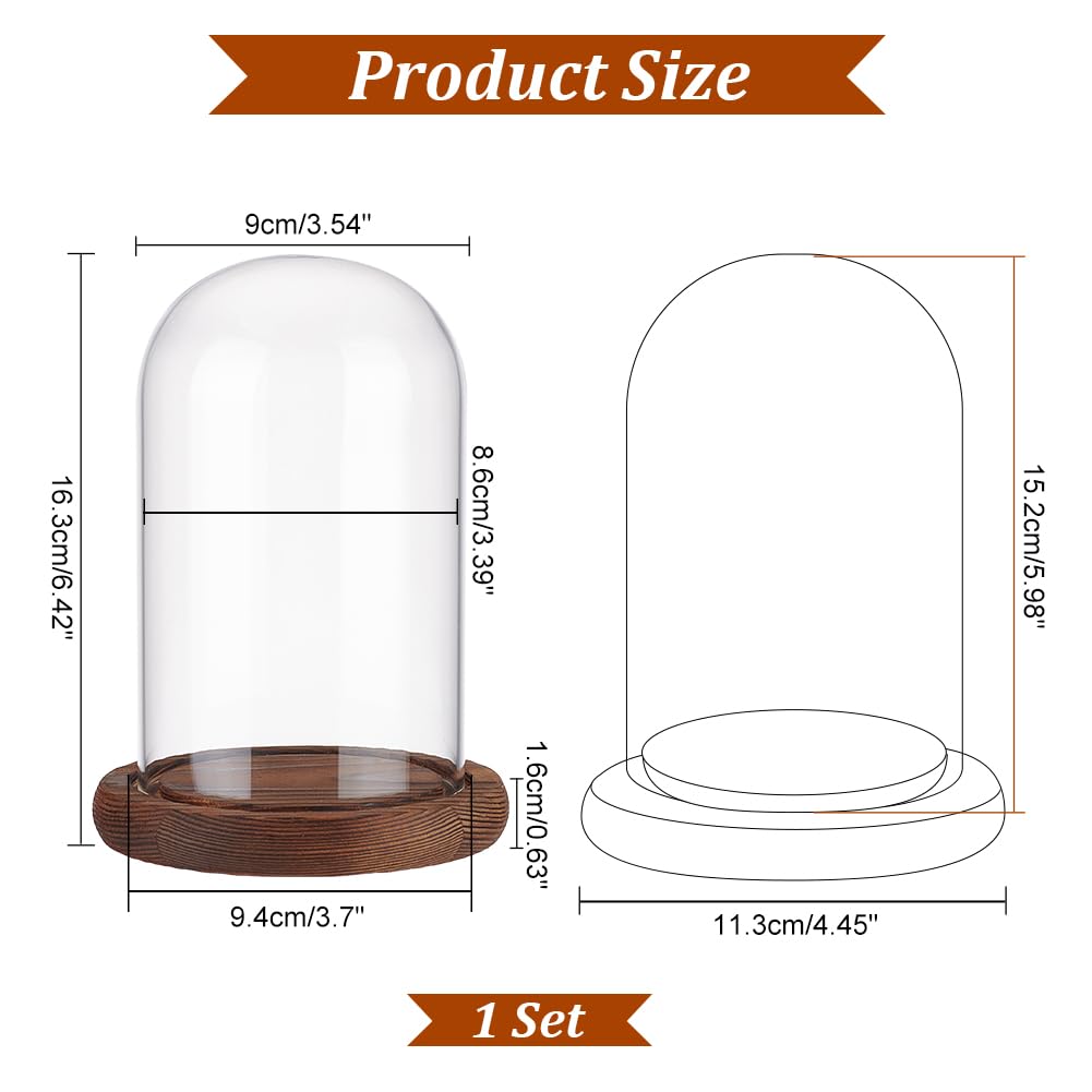 NBEADS Eternal Flower Glass Display Dome Cloche, Glass Display with Coconut Brown Wood Pedestal Bell Jar Cloche for Valentine's Day Mother's Day Flower Decorations Crafts, 4.45×6.42 Inch