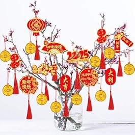 2025 Happy Chinese New...