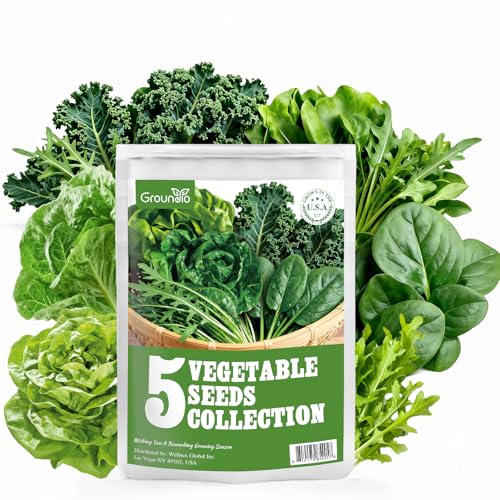 5 Lettuce and Salad Greens Seeds Variety Pack - Non-GMO Heirloom Seeds for Planting Indoor, Outdoor or Hydroponic - Lettuce Buttercrunch, Romaine, Arugula, Kale and Spinach