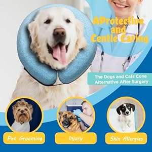Big Hippo Inflatable Dog Collar, Protective Dog Neck Donut Collar Soft Pet Recovery Collar for Dogs and Cats After Surgery (Blue, X-Large)