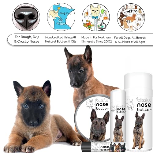 Image of The Blissful Dog Belgian Malinois Nose Butter for Dry, Cracked Skin, Lick-Safe Dog Nose Balm with Moisturizing Shea Butter, Almond, Olive, and Essential Oils, Pet Supplies, Uncented, 0.50 oz.