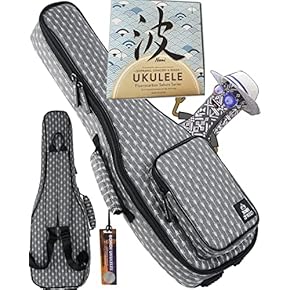 エコメルカリ便発送）（ジャンク） ウクレレ ケース 弦 のセット