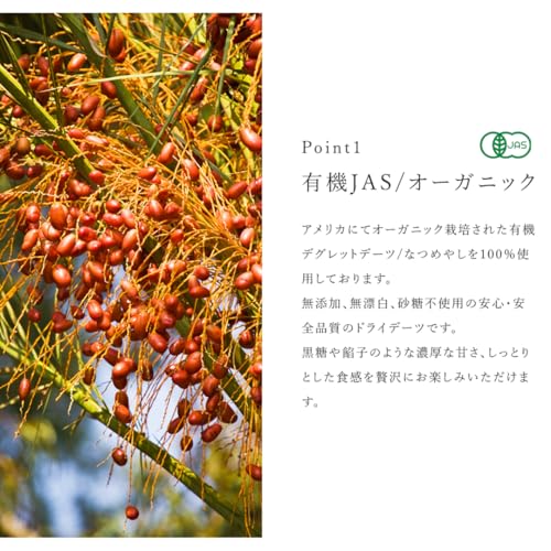 San'ta Rosa (サンタローサ) デーツ 種抜き 無添加 オーガニック 有機JAS ナツメヤシ デグレット (100g) の商品画像 5