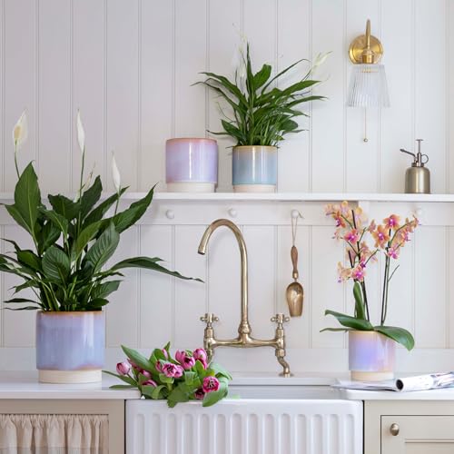 Ivyline Copenhagen Two Tone Planter in Pink, Waterproof & Stylish - Image 2