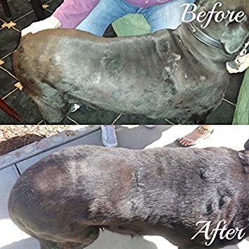 image for Big Mare Dog Body Spray | Clinically Proven Effective On Hotspots, Yea