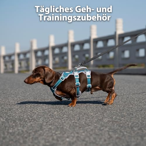 Huntboo Sicherheitsgeschirr Hund Ausbruchsicher, Panikgeschirr für Hunde, Reflektierendes Geschirr mit Gepolstertem Griff, Verstellbare Weste für Kleine Hunde, die Spazieren Gehen (Blau,XS)