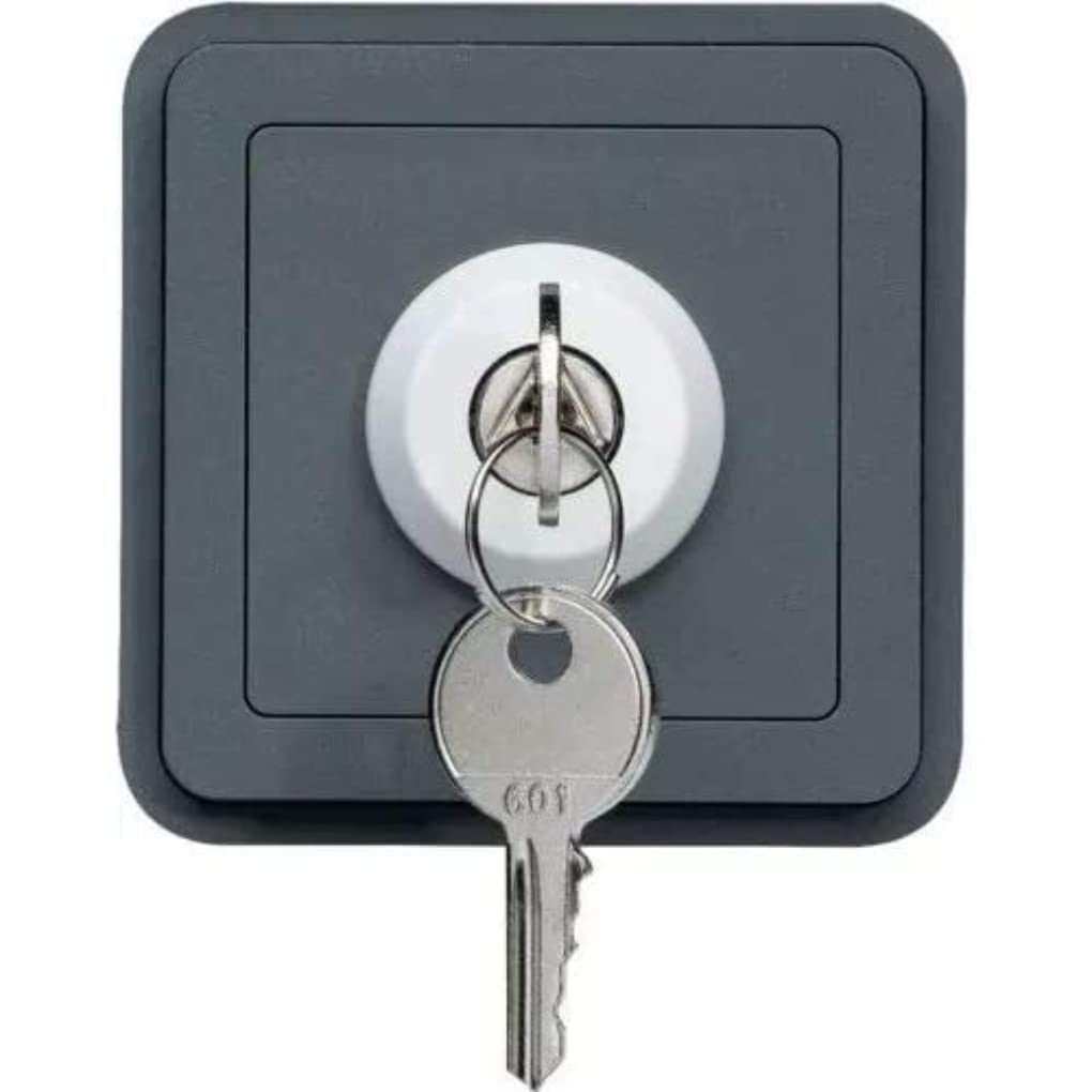 Interrupteur à clé 2 positions gris pour commande électrique filaire