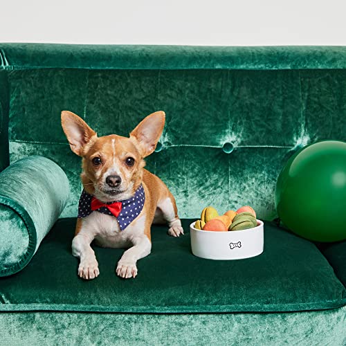 Thoughtfully Pets, Macarons per Cani, Biscotti