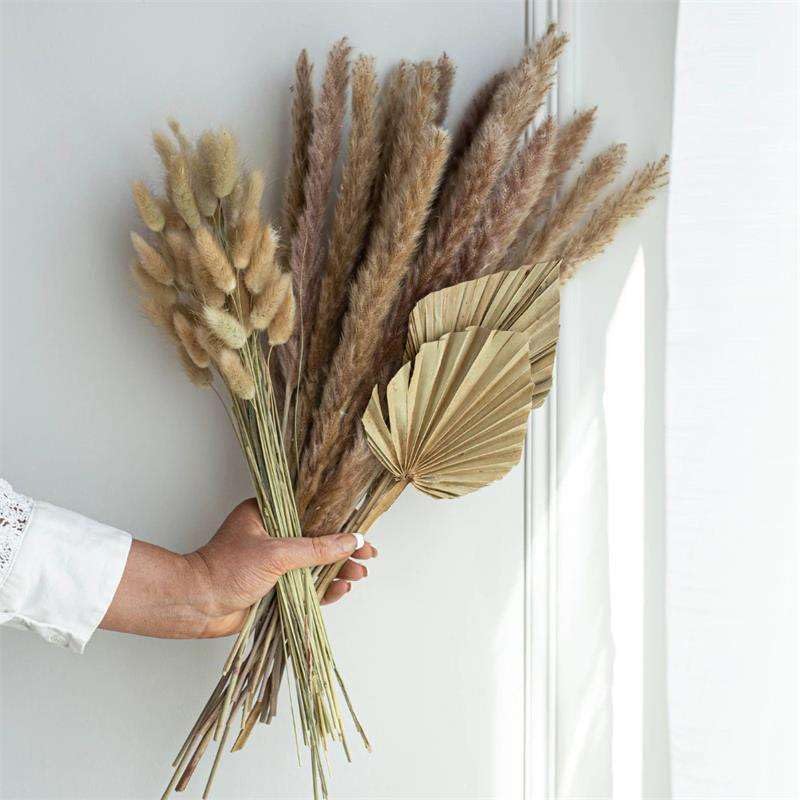 Pampas Grass Large 77Pcs Ramo de Flores Secas miniatura 3