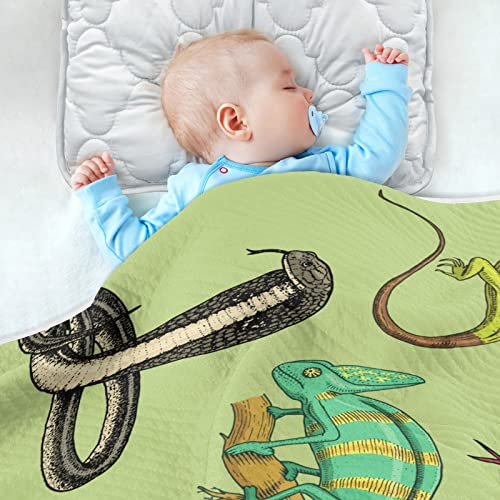 Image of Crocodile Snakes Lizard Baby Blankets Soft Warm Crib Stroller Blanket for Toddler Newborn Girls Boys, 30x40in
