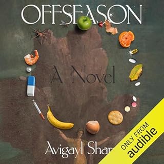 Offseason Audiolibro Por Avigayl Sharp arte de portada