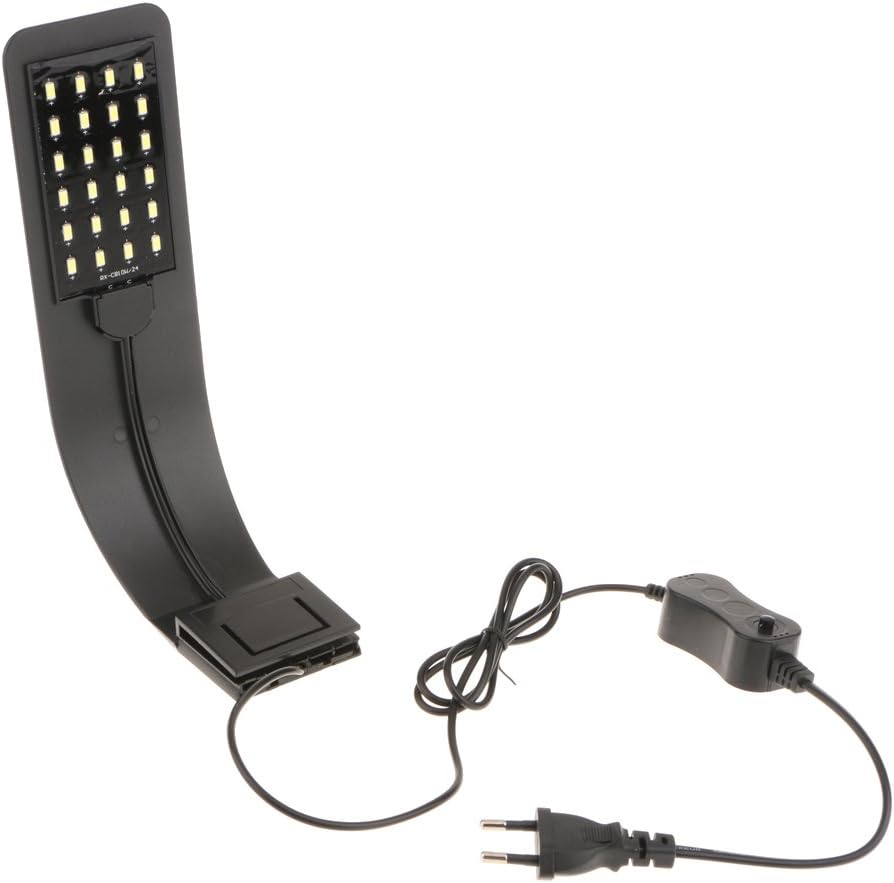 luce serbatoio per acqua dolce