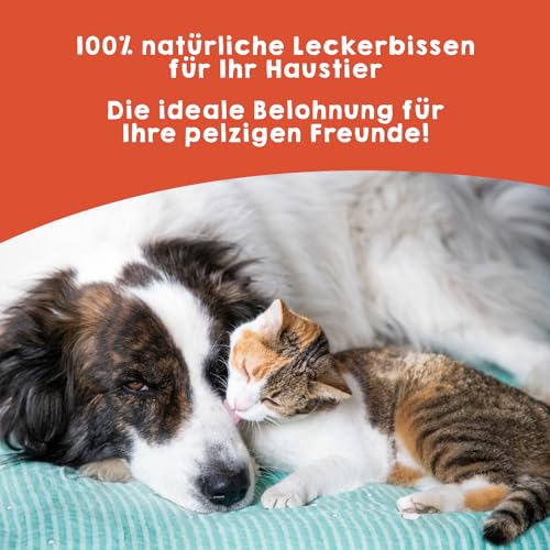 MAIKAI Packung 8 Geräucherte für Hunde Lachshautrollen - Getreidefrei Proteinreich Natürliche Hundeleckerli Kauknochen Alternative Trockenfisch Omega 3 Zahnpflege